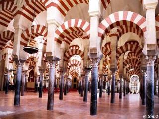Un vistazo general de los aportes del Islam desde sus inicios hasta la época.jpg